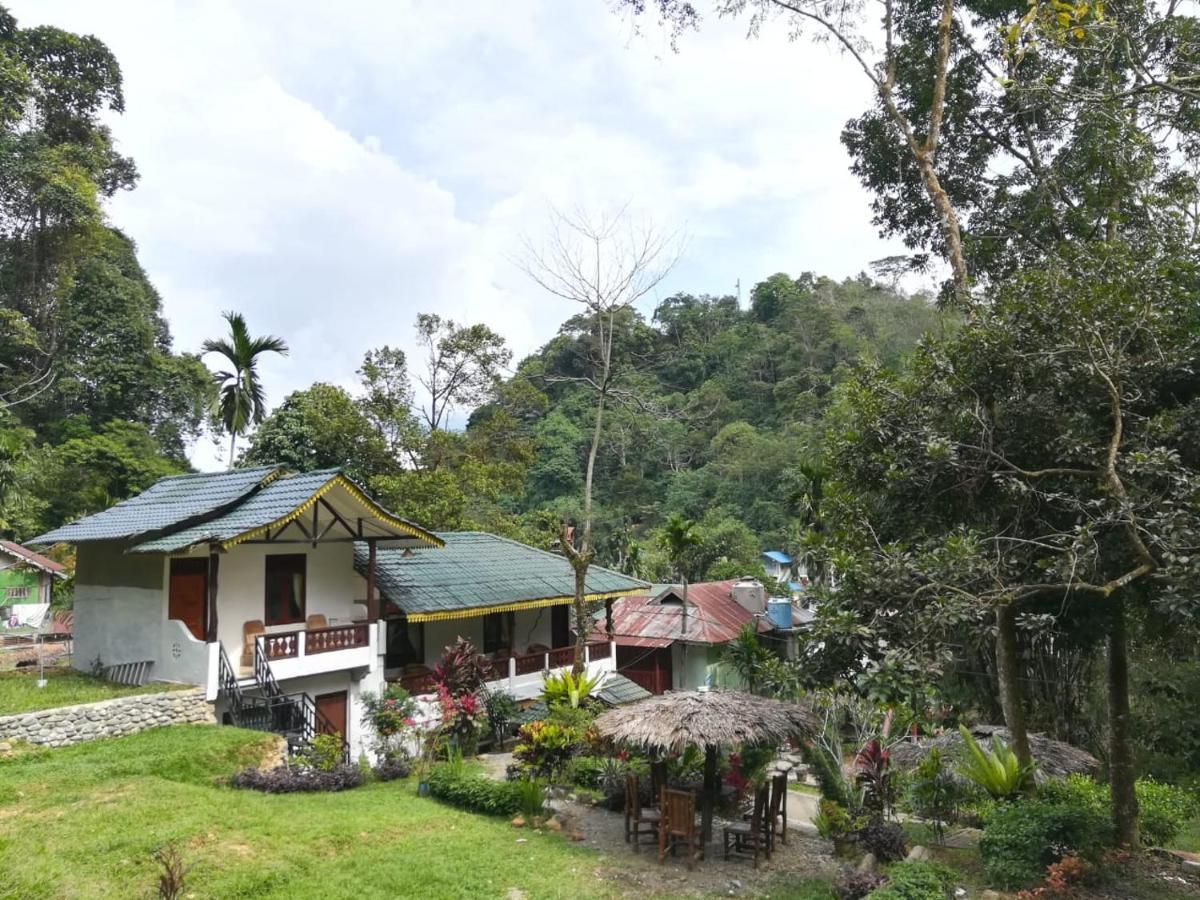 Soul Guesthouse Bukit Lawang Kültér fotó