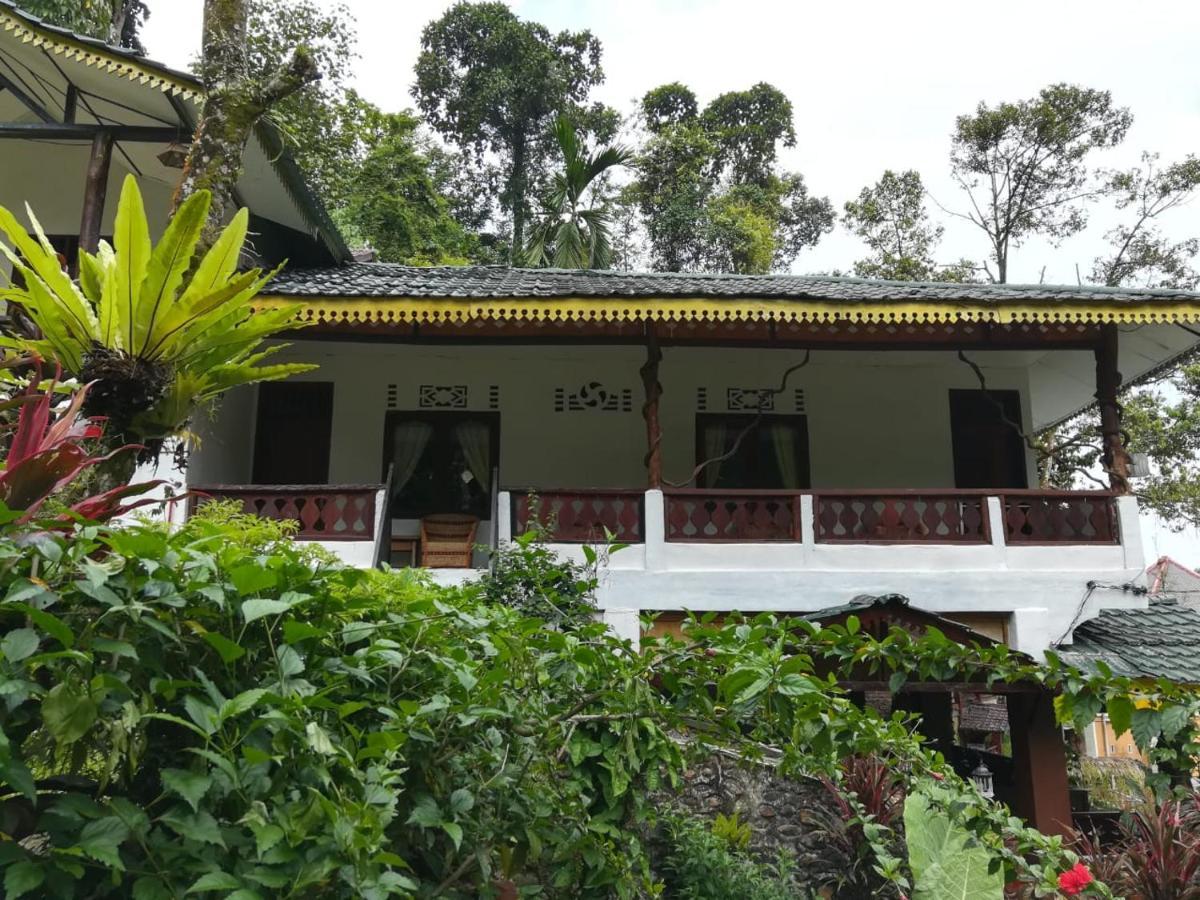 Soul Guesthouse Bukit Lawang Kültér fotó