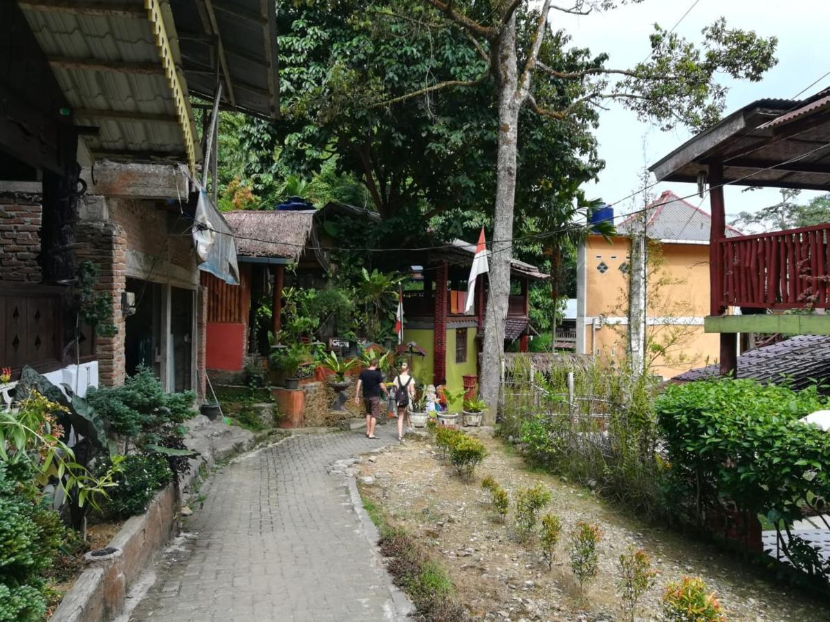 Soul Guesthouse Bukit Lawang Kültér fotó