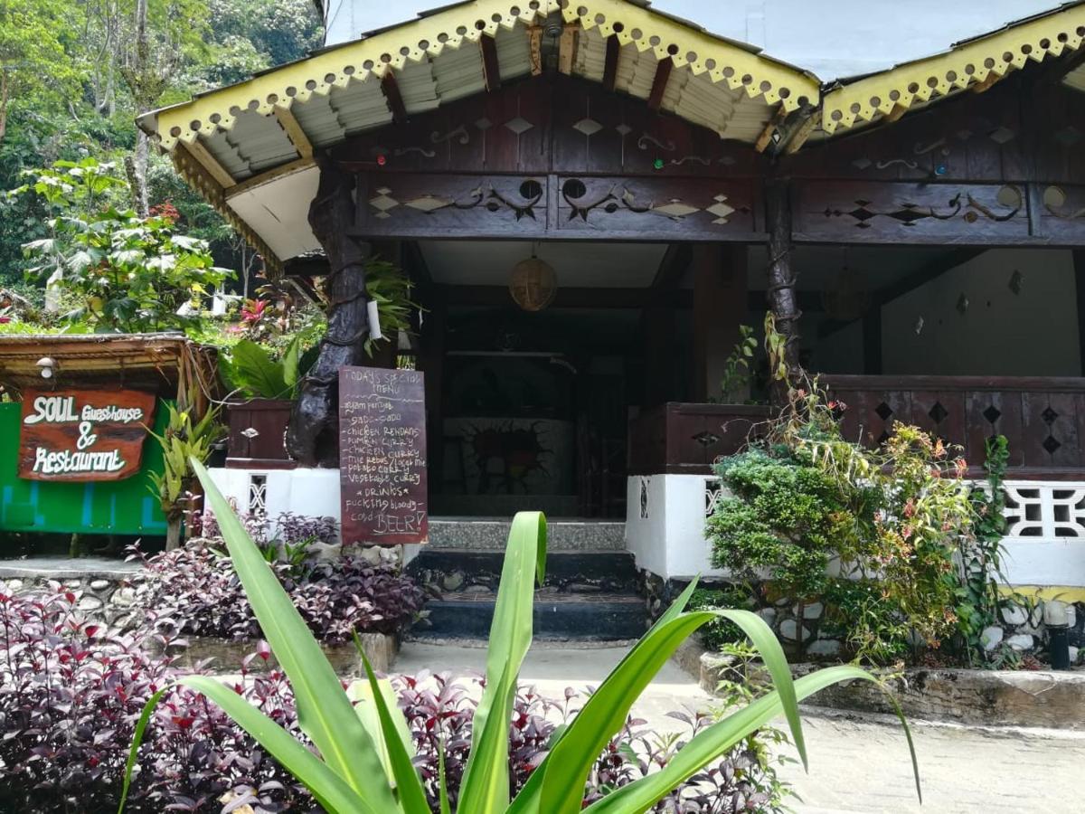 Soul Guesthouse Bukit Lawang Kültér fotó