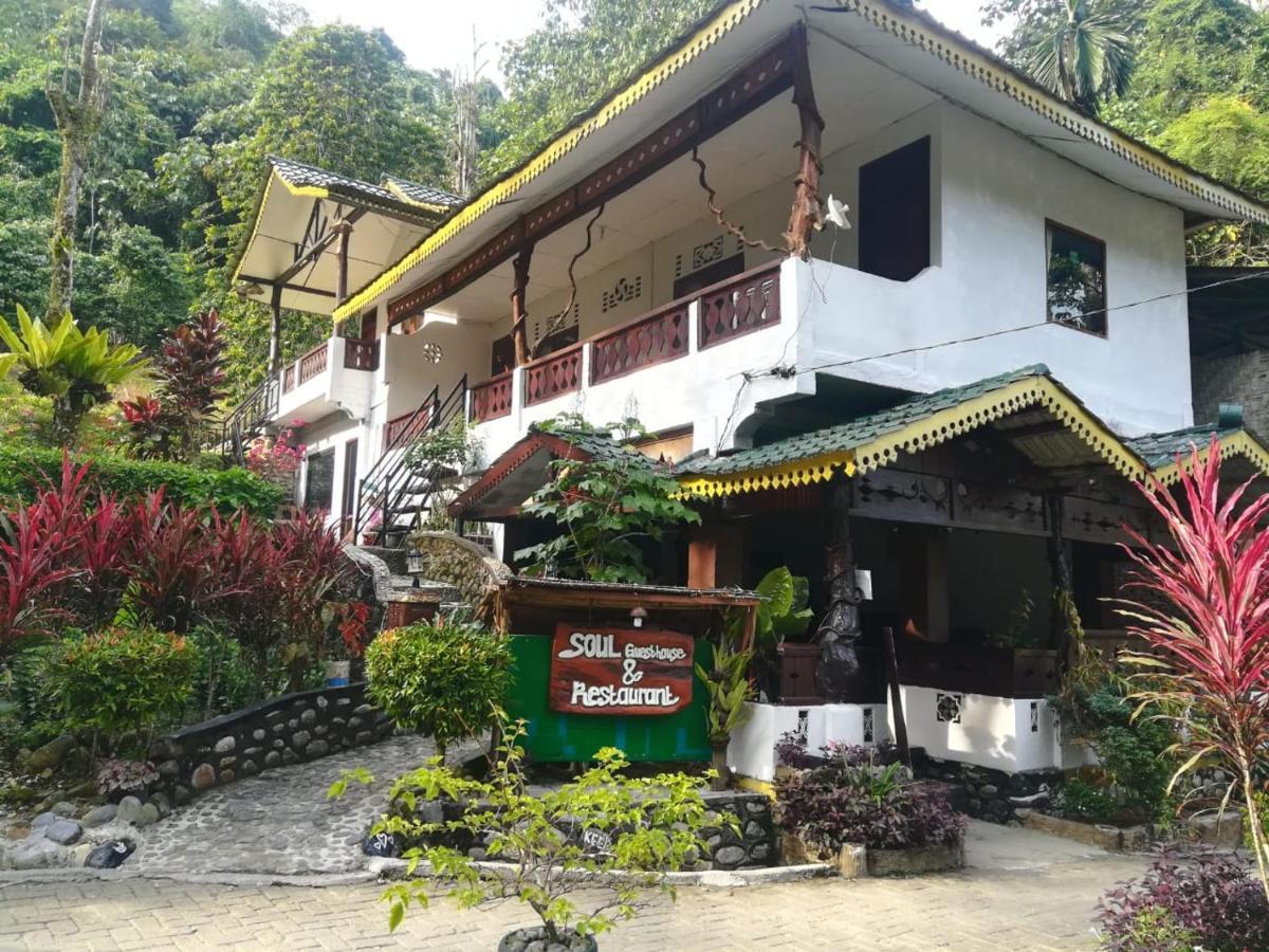 Soul Guesthouse Bukit Lawang Kültér fotó