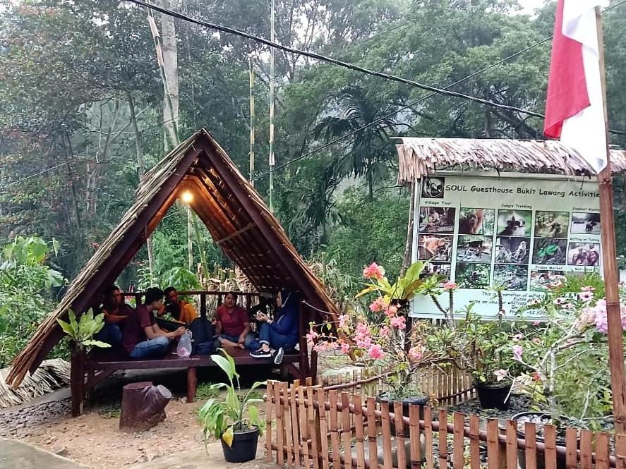 Soul Guesthouse Bukit Lawang Kültér fotó